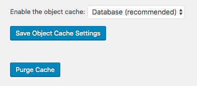 settings object cache